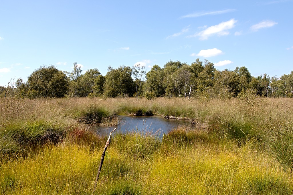 nationaal park de groote peel grote natuurgebied natuur hdr brabant limburg staatsbosbeheer turf veen heide hei bos bossen